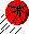 Basketball rot