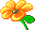 orange 6-blättrige Blüte
