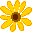 orange Blüte