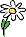 Blume mit weißer Blüte