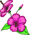 3 lila Blüten