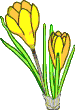 2 Blumen mit gelben Blüten im Topf