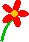 Blume mit 5-blättriger roter Blüte