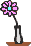Blume mit lila Blüte in Vase