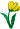 gelbe Tulpe