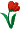 rote Tulpe