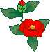 Blume 1 rote Blüte und 1 rote Knospe