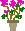 Topfblume mit pinken Blüten