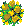 Strauss gelbe Blumen