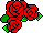 3 rote Rosenköpfe
