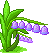 Glockenblume mit lilafarbenen Glocken