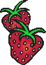 2 Erdbeeren hintereinander