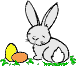 grauer Osterhase im Gras sitzend vor 2 Ostereiern gelb orange