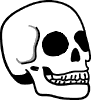 heller Totenkopf von der rechten Seite