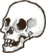 heller Totenkopf von der linken Seite