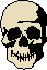 Totenkopf beige von vorne