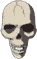 Totenkopf von vorne mit leicht geöffnetem Kieferknochen