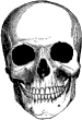heller Totenkopf von vorne