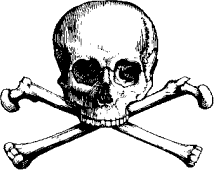 großer Totenkopf auf 2 gekreuzten Knochen von vorne