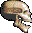 bräunlicher Totenkopf mit geöffnetem Unterkiefer von rechts