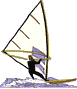 Windsurfer älteres Raceboard und Segel in Fahrt